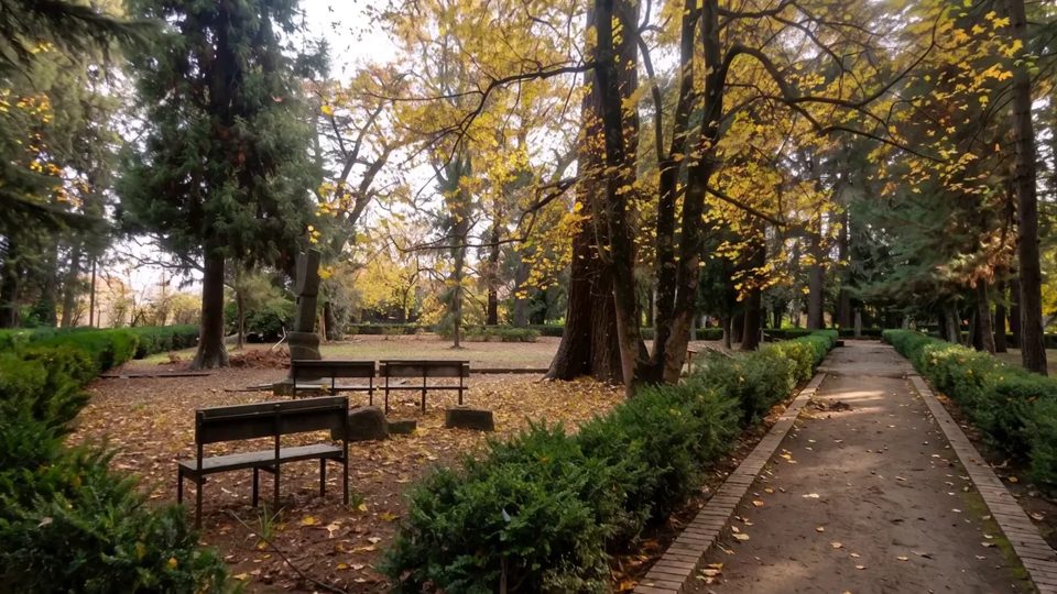 Vista de Bárbara, Talca.
